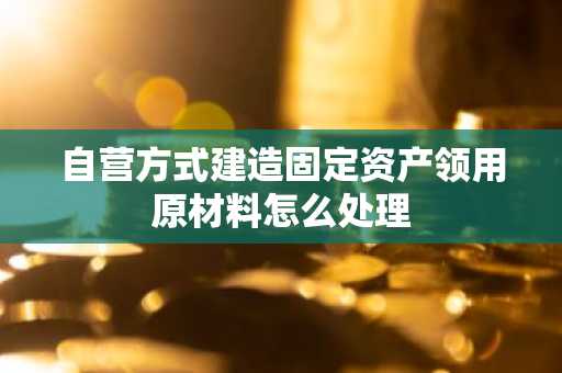 自营方式建造固定资产领用原材料怎么处理