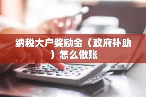 纳税大户奖励金（政府补助）怎么做账