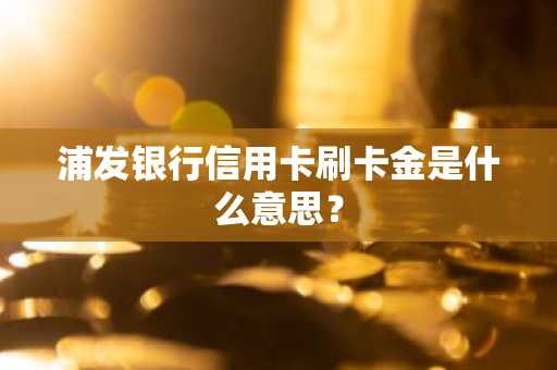 浦发银行信用卡刷卡金是什么意思？