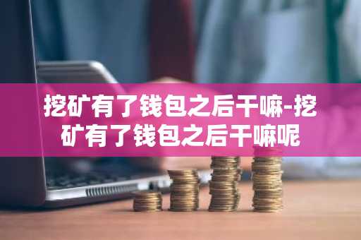 挖矿有了钱包之后干嘛-挖矿有了钱包之后干嘛呢