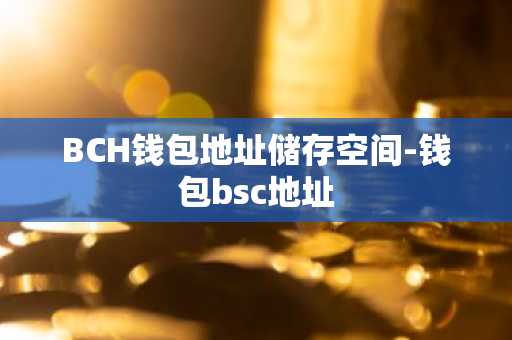 BCH钱包地址储存空间-钱包bsc地址