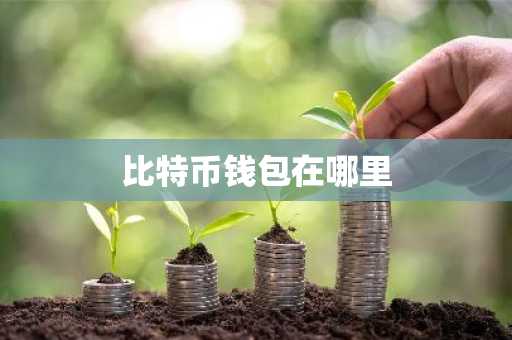 比特币钱包在哪里