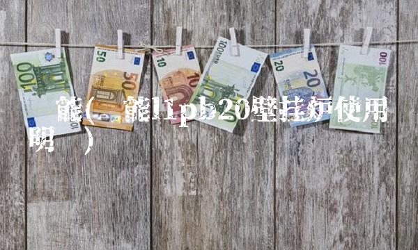 凯能(凯能l1pb20壁挂炉使用说明书) 凯能(凯能l1pb20壁挂炉使用说明书)