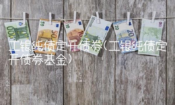 工银纯债定开债券(工银纯债定开债券基金) 工银纯债定开债券(工银纯债定开债券基金)
