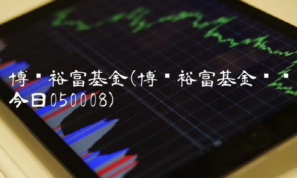 博时裕富基金(博时裕富基金净值今日050008) 博时裕富基金(博时裕富基金净值今日050008)