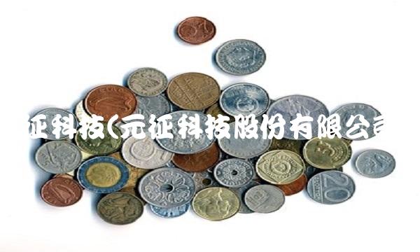 元征科技(元征科技股份有限公司) 元征科技(元征科技股份有限公司)
