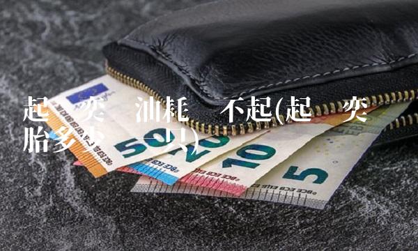 起亚奕跑油耗开不起(起亚奕跑轮胎多少钱一只) 起亚奕跑油耗开不起(起亚奕跑轮胎多少钱一只)