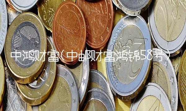 中鸿财富(中邮财富鸿锦58号) 中鸿财富(中邮财富鸿锦58号)