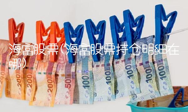 海富股票(海富股票持仓明细在哪) 海富股票(海富股票持仓明细在哪)