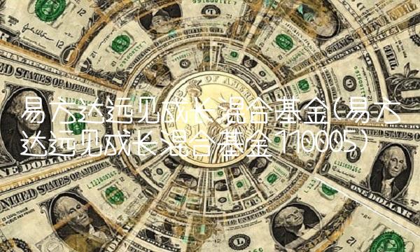 易方达远见成长混合基金(易方达远见成长混合基金110005) 易方达远见成长混合基金(易方达远见成长混合基金110005)
