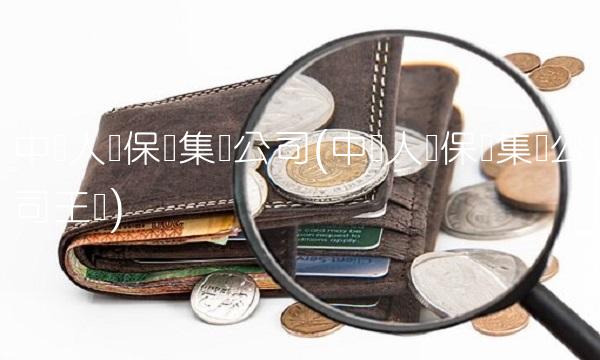 中国人寿保险集团公司(中国人寿保险集团公司王滨) 中国人寿保险集团公司(中国人寿保险集团公司王滨)