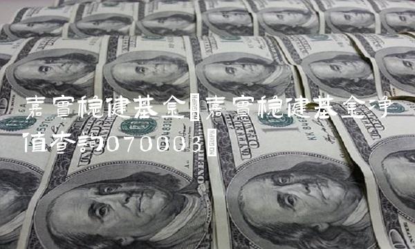 嘉实稳健基金(嘉实稳健基金净值查询070003) 嘉实稳健基金(嘉实稳健基金净值查询070003)
