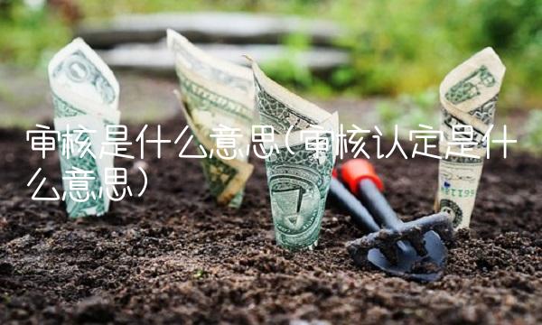 审核是什么意思(审核认定是什么意思) 审核是什么意思(审核认定是什么意思)
