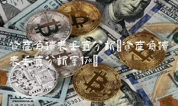 资产负债表垂直分析(资产负债表垂直分析案例) 资产负债表垂直分析(资产负债表垂直分析案例)