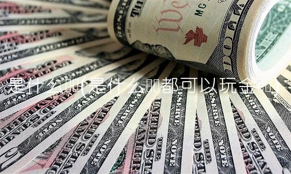 是什么电脑(是什么电脑都可以玩金铲铲)