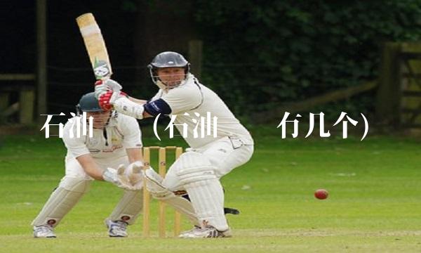石油组织(石油组织有几个)