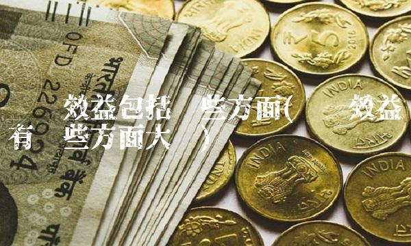 经济效益包括哪些方面(经济效益有哪些方面大创)