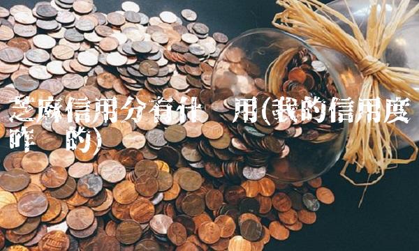 芝麻信用分有什么用(我的信用度咋查的)