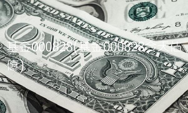 基金000828(基金000828今天估值)