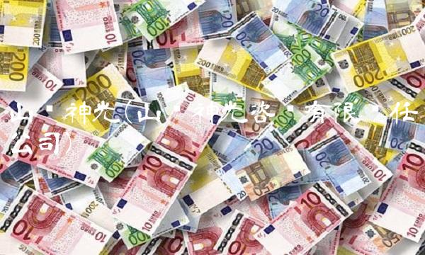 山东神光(山东神光咨询有限责任公司)