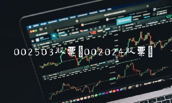 002503股票(002024股票)