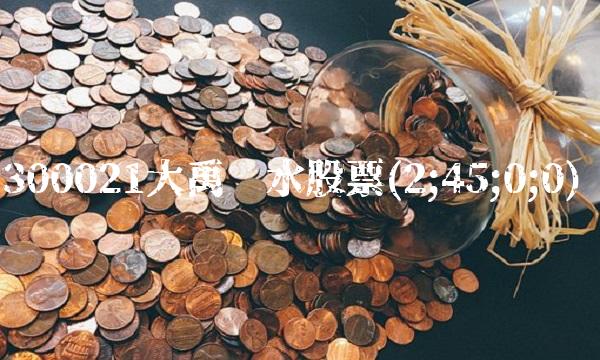 300021大禹节水股票(2;45;0;0)
