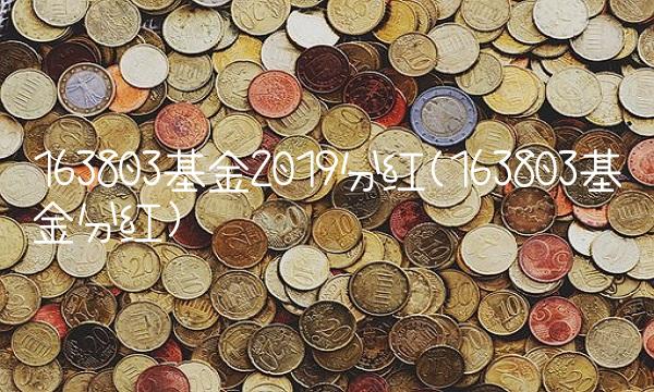 163803基金2019分红(163803基金分红)
