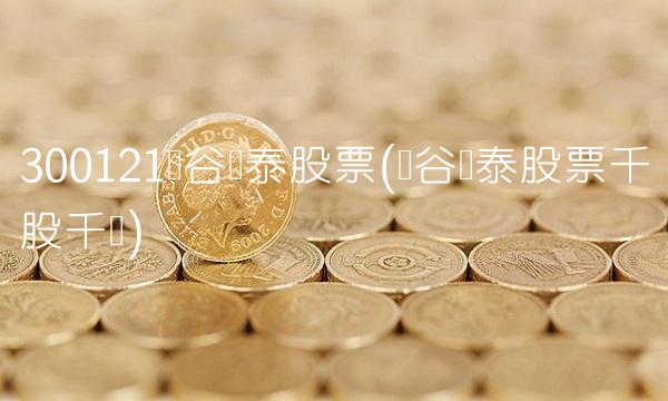 300121阳谷华泰股票(阳谷华泰股票千股千评)
