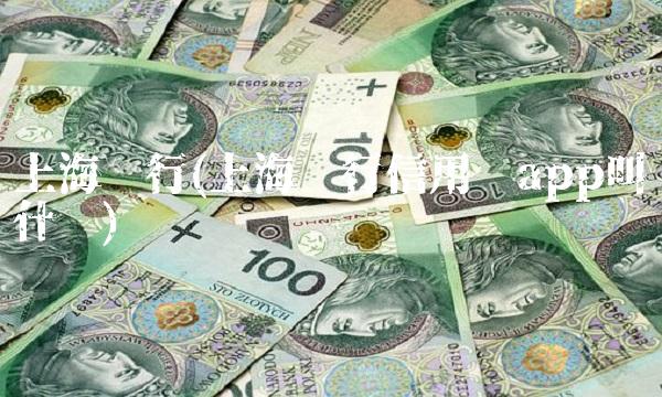 上海银行(上海银行信用卡app叫什么)