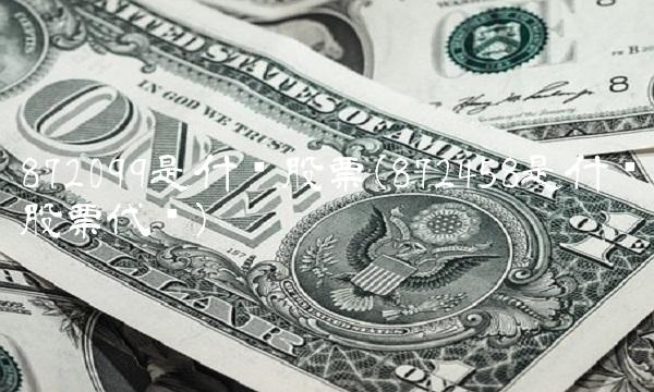 872099是什么股票(872458是什么股票代码)