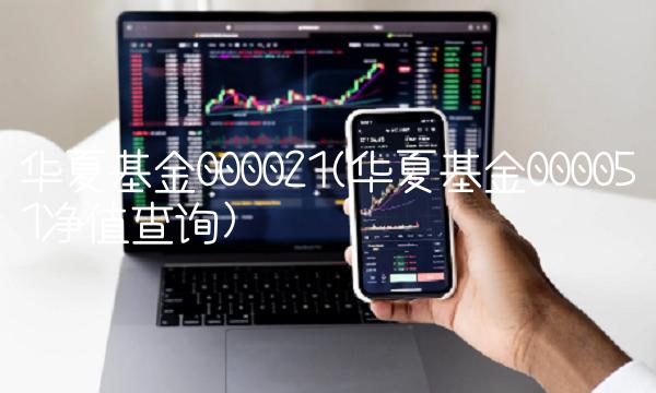 华夏基金000021(华夏基金000051净值查询)