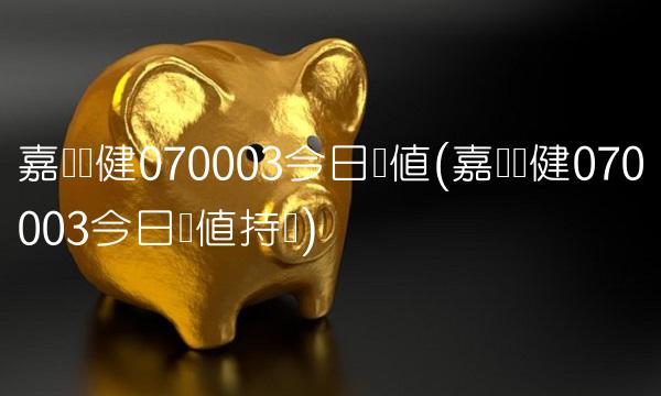 嘉实稳健070003今日净值(嘉实稳健070003今日净值持仓)
