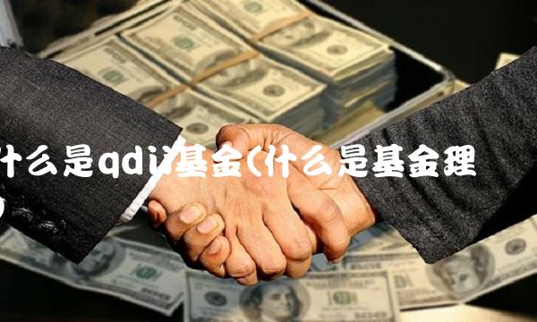 什么是qdii基金(什么是基金理财)