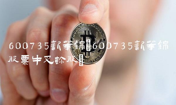 600735新华锦(600735新华锦股票牛叉诊股)