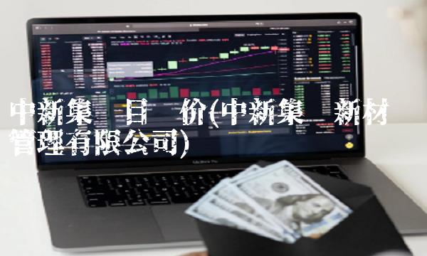中新集团目标价(中新集团新材资产管理有限公司)