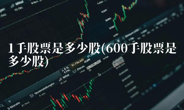 1手股票是多少股(600手股票是多少股)
