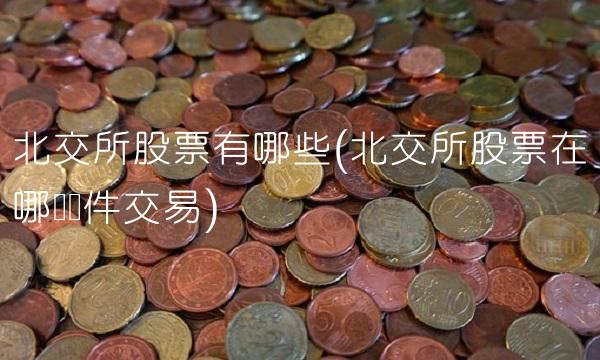 北交所股票有哪些(北交所股票在哪个软件交易) 北交所股票有哪些(北交所股票在哪个软件交易)