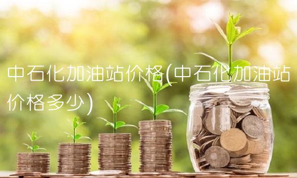中石化加油站价格(中石化加油站价格多少)