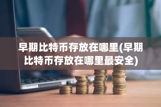 早期比特币存放在哪里(早期比特币存放在哪里最安全)-第1张图片-ZBLOG