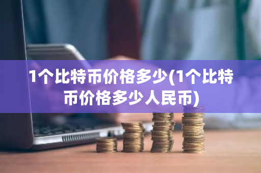 1个比特币价格多少(1个比特币价格多少人民币)-第1张图片-ZBLOG