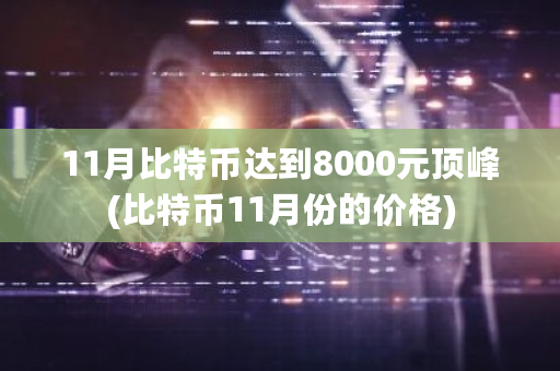 11月比特币达到8000元顶峰(比特币11月份的价格)-第1张图片-ZBLOG