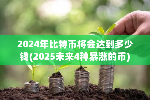 2024年比特币将会达到多少钱(2025未来4种暴涨的币)-第1张图片-ZBLOG