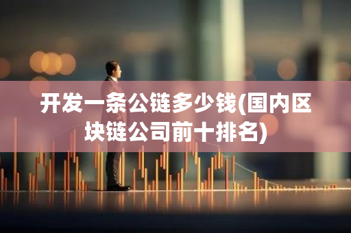 开发一条公链多少钱(国内区块链公司前十排名)-第1张图片-ZBLOG