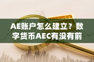 AE账户怎么建立？数字货币AEC有没有前途-第1张图片-ZBLOG