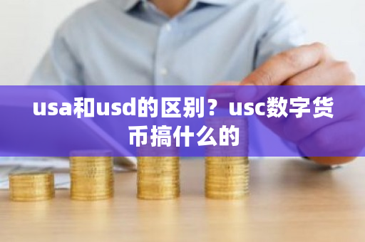 usa和usd的区别？usc数字货币搞什么的-第1张图片-ZBLOG