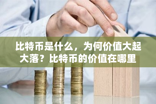 比特币是什么，为何价值大起大落？比特币的价值在哪里-第1张图片-ZBLOG