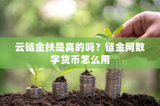 云链金扶是真的吗？链金网数字货币怎么用-第1张图片-ZBLOG