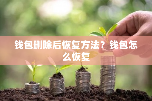 钱包删除后恢复方法?钱包怎么恢复-第1张图片-ZBLOG 钱包删除后恢复方法?钱包怎么恢复-第1张图片-ZBLOG