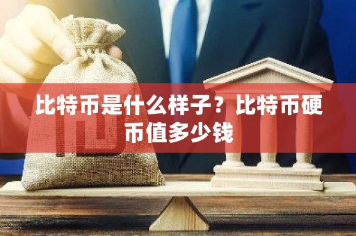 比特币是什么样子？比特币硬币值多少钱-第1张图片-ZBLOG