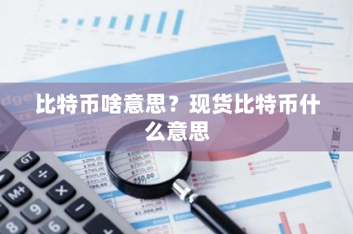 比特币啥意思？现货比特币什么意思-第1张图片-ZBLOG